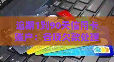 逾期1到90天信用卡账户：各项欠款处理策略与影响分析