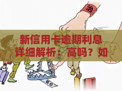 新信用卡逾期利息详细解析：高吗？如何计算？有何影响？