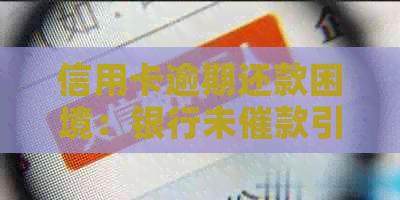 信用卡逾期还款困境：银行未催款引发的问题解决策略