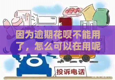 因为逾期花呗不能用了，怎么可以在用呢？