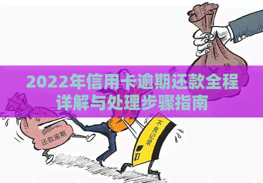 2022年信用卡逾期还款全程详解与处理步骤指南