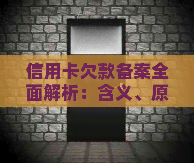 信用卡欠款备案全面解析：含义、原因、影响与解决方案