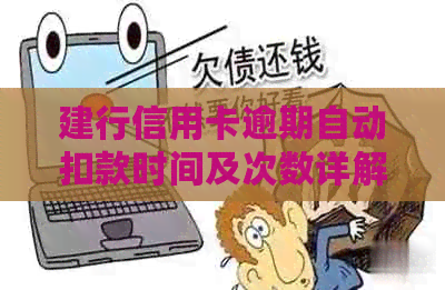 建行信用卡逾期自动扣款时间及次数详解