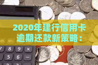 2020年建行信用卡逾期还款新策略：深度解读重要政策与规定