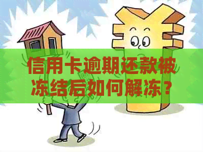 信用卡逾期还款被冻结后如何解冻？以及解冻过程中可能遇到的问题和解决方法