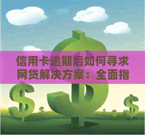 信用卡逾期后如何寻求网贷解决方案：全面指南助您度过难关