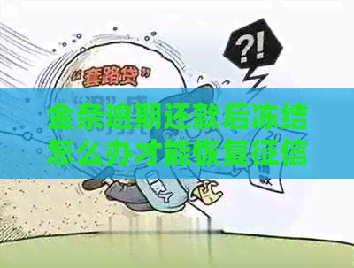 金条逾期还款后冻结怎么办才能恢复？