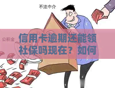 信用卡逾期还能领社保吗现在？如何处理？