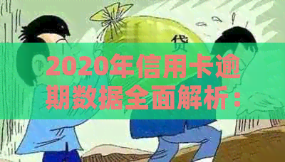 2020年信用卡逾期数据全面解析：逾期率、影响与解决策略