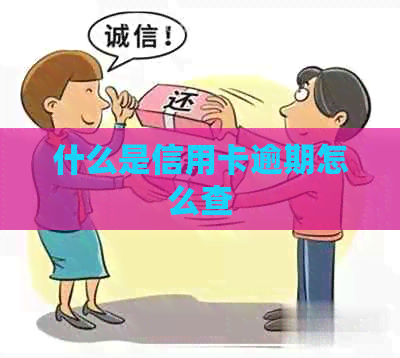 什么是信用卡逾期怎么查