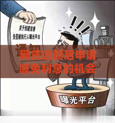 网贷逾期后申请减免利息的机会限制及解决方案全面解析