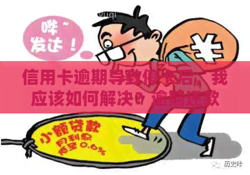 信用卡逾期导致停卡后，我应该如何解决？逾期还款的影响及恢复信用的步骤