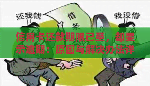 信用卡还款期限已至，却显示逾期：原因与解决办法详解