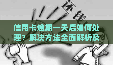 信用卡逾期一天后如何处理？解决方法全面解析及相关应对措