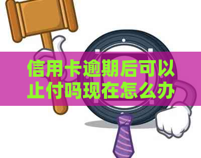 信用卡逾期后可以止付吗现在怎么办？