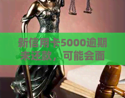 新信用卡5000逾期未还款，可能会面临银行上门的风险吗？