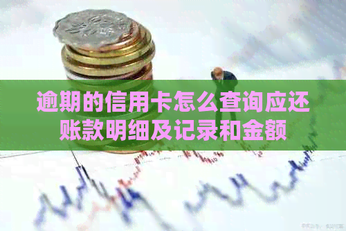 逾期的信用卡怎么查询应还账款明细及记录和金额