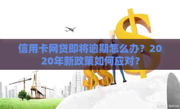 信用卡网贷即将逾期怎么办？2020年新政策如何应对？