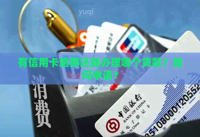 有信用卡逾期还能办理哪个贷款？如何申请？