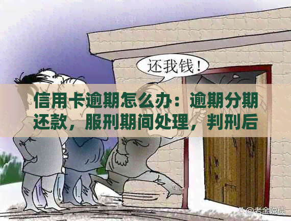 信用卡逾期怎么办：逾期分期还款，服刑期间处理，判刑后解决办法