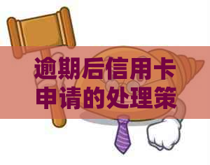 逾期后信用卡申请的处理策略：是否还有机会成功办理？