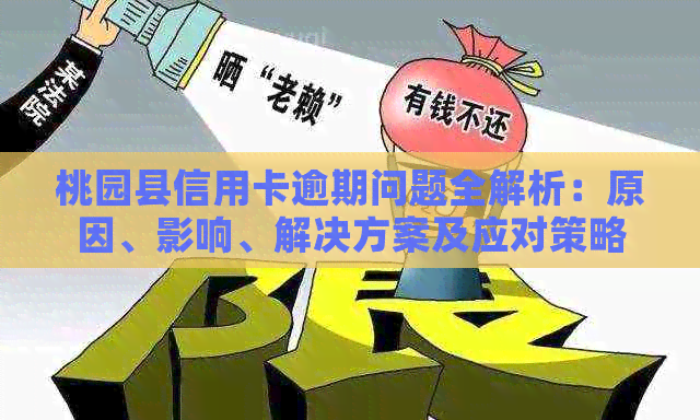 桃园县信用卡逾期问题全解析：原因、影响、解决方案及应对策略