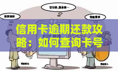 信用卡逾期还款攻略：如何查询卡号并完成还款？