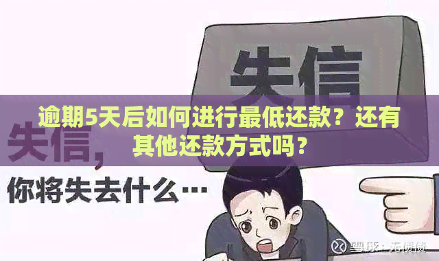 逾期5天后如何进行更低还款？还有其他还款方式吗？