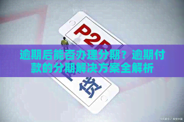 逾期后能否办理分期？逾期付款的分期解决方案全解析