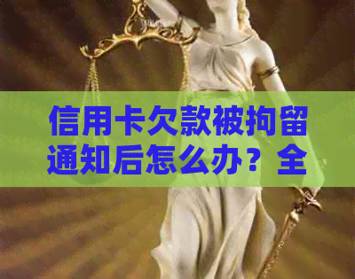 信用卡欠款被拘留通知后怎么办？全面解决用户疑问