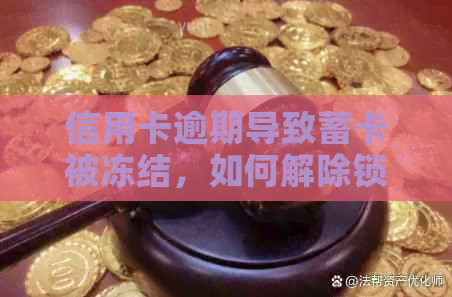 信用卡逾期导致蓄卡被冻结，如何解除锁定并取出存款？