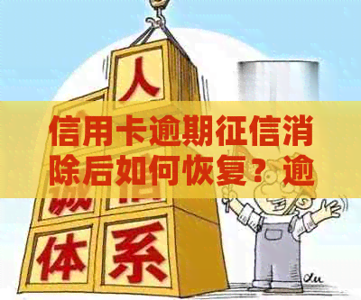 信用卡逾期消除后如何恢复？逾期多久可以重塑信用记录？