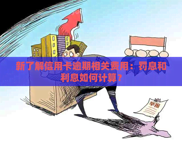 新了解信用卡逾期相关费用：罚息和利息如何计算？