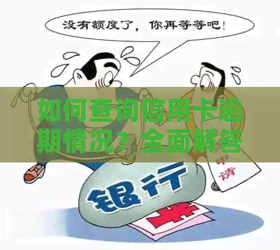 如何查询信用卡逾期情况？全面解答用户疑问，避免逾期风险！