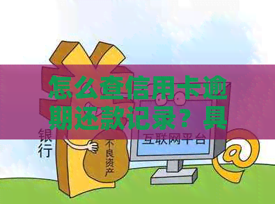 怎么查信用卡逾期还款记录？具体时间与查询方式