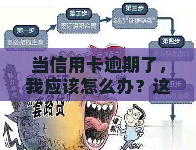 当信用卡逾期了，我应该怎么办？这里有一份全面指南来帮助您解决问题