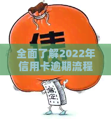 全面了解2022年信用卡逾期流程：原因、影响、解决办法和预防措