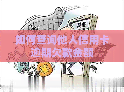 如何查询他人信用卡逾期欠款金额