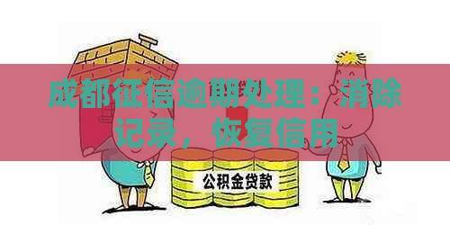 成都逾期处理：消除记录，恢复信用