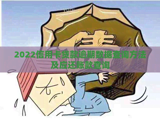 2022信用卡贷款逾期数据查询方法及应还账款查询