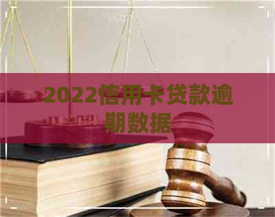 2022信用卡贷款逾期数据