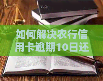 如何解决农行信用卡逾期10日还款问题？逾期后的影响和应对措全解析