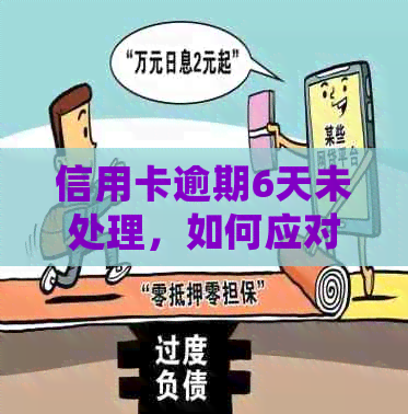 信用卡逾期6天未处理，如何应对公安不立案的困境？