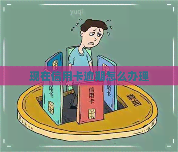 现在信用卡逾期怎么办理