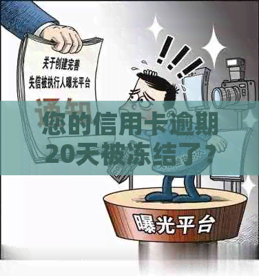 您的信用卡逾期20天被冻结了？这里有解决方案！