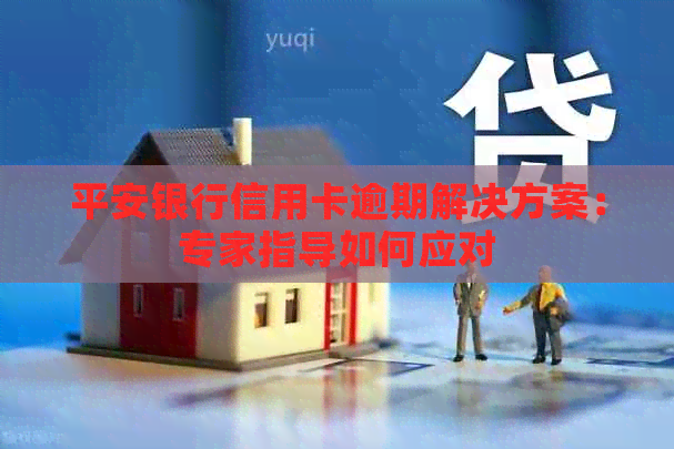 平安银行信用卡逾期解决方案：专家指导如何应对