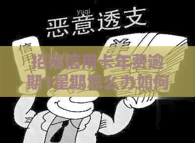 招商信用卡年费逾期1星期怎么办如何处理？