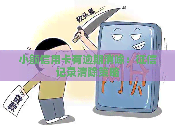 小额信用卡有逾期消除：记录清除策略