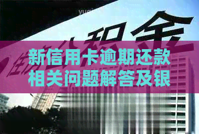 新信用卡逾期还款相关问题解答及银行服务建议