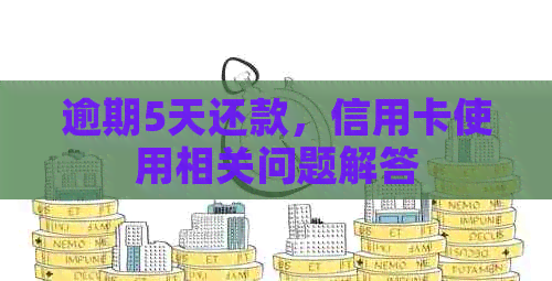 逾期5天还款，信用卡使用相关问题解答